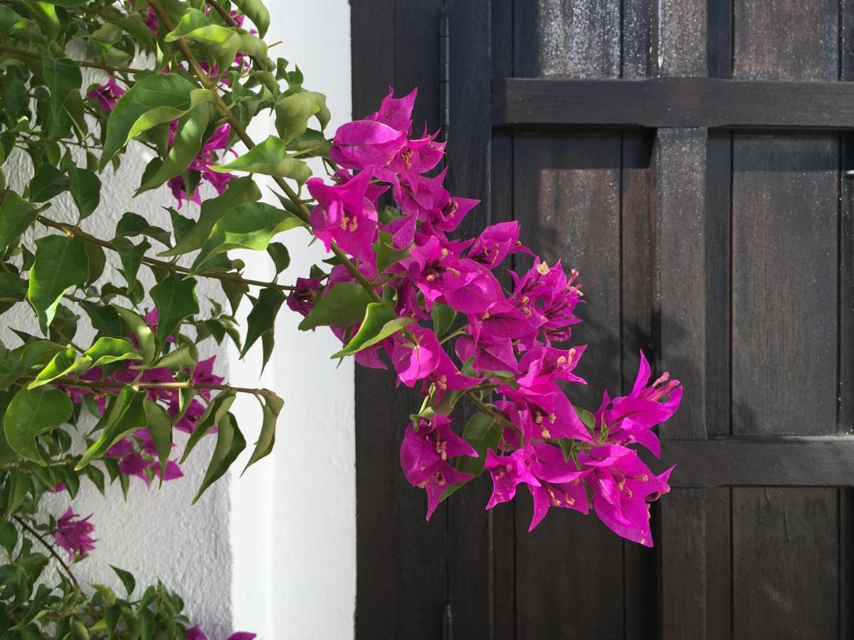 إل بورتيل Villa De La Luz Luxury Guesthouse المظهر الخارجي الصورة